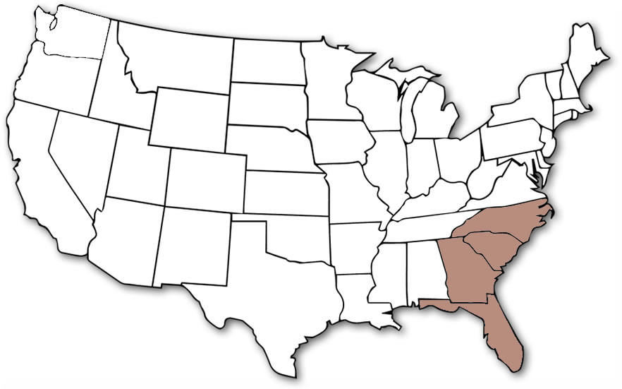 USA map with the states Florida, Georgia, North Carolina, and South Carolina highlighted