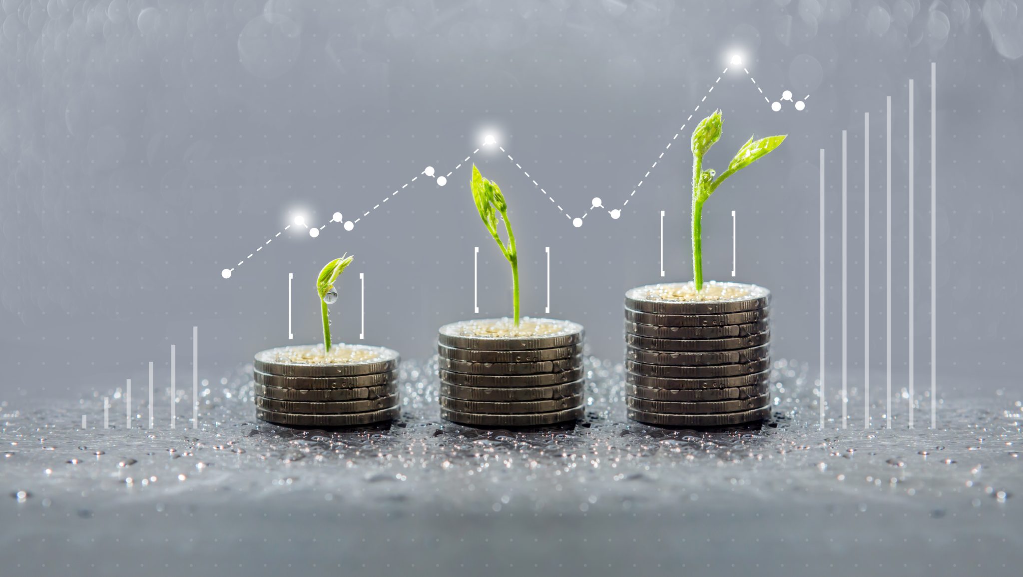 What Investors Need to Know Before Filing